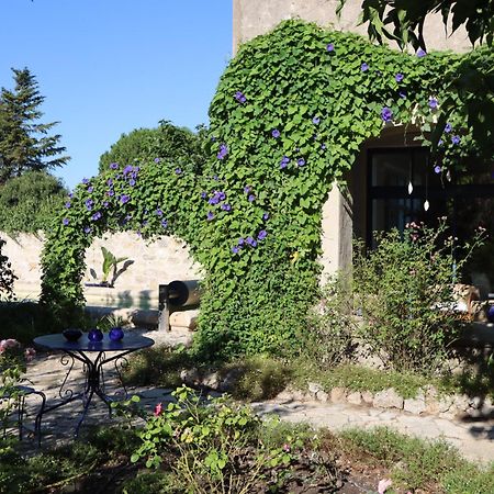 Aux Pots Bleus Panzió Nissan-lez-Enserune Kültér fotó